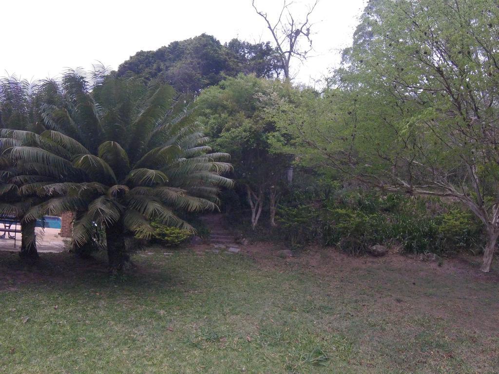 Pousada Amoedo Hotel Petropolis  Exterior photo