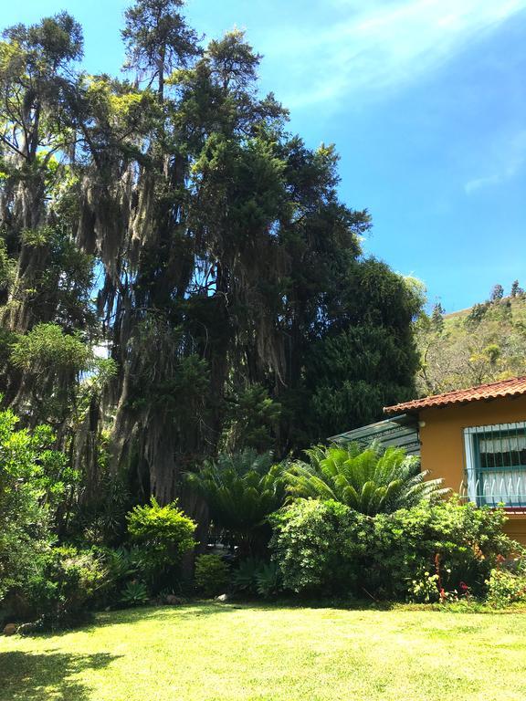 Pousada Amoedo Hotel Petropolis  Exterior photo